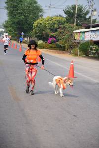 BIB: 
                            <button type="button" onclick="openModal(8674585)" class="btn btn-primary btn-sm float-right btn-popup" data-toggle="modal" data-target=".modal-high-quality">
                        <i class="fas fa-shopping-cart"></i> Add to Cart
                    </button>
                                            <button type="button" onclick="isThisMe(8674585, true)" class="btn btn-success btn-sm float-right btn-popup btn-isme hidden" data-toggle="tooltip" data-placement="bottom" title="นี่คือรูปของคุณใช่ไหม คลิกที่นี่เพื่อเอาเข้าอัลบั้ม">
                        <i class="fas fa-plus"></i> Add to album
                    </button>
                    <button type="button" onclick="isThisMe(8674585, false)" class="btn btn-warning btn-sm float-right btn-popup btn-isnotme hidden">
                        <i class="fas fa-ban"></i> Remove from album
                    </button>