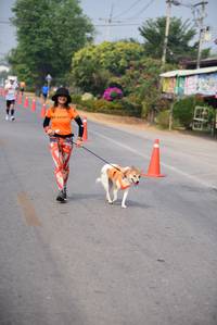 BIB: 
                            <button type="button" onclick="openModal(8674581)" class="btn btn-primary btn-sm float-right btn-popup" data-toggle="modal" data-target=".modal-high-quality">
                        <i class="fas fa-shopping-cart"></i> Add to Cart
                    </button>
                                            <button type="button" onclick="isThisMe(8674581, true)" class="btn btn-success btn-sm float-right btn-popup btn-isme hidden" data-toggle="tooltip" data-placement="bottom" title="นี่คือรูปของคุณใช่ไหม คลิกที่นี่เพื่อเอาเข้าอัลบั้ม">
                        <i class="fas fa-plus"></i> Add to album
                    </button>
                    <button type="button" onclick="isThisMe(8674581, false)" class="btn btn-warning btn-sm float-right btn-popup btn-isnotme hidden">
                        <i class="fas fa-ban"></i> Remove from album
                    </button>