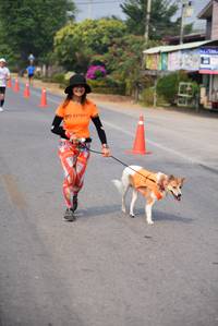 BIB: 
                            <button type="button" onclick="openModal(8674588)" class="btn btn-primary btn-sm float-right btn-popup" data-toggle="modal" data-target=".modal-high-quality">
                        <i class="fas fa-shopping-cart"></i> Add to Cart
                    </button>
                                            <button type="button" onclick="isThisMe(8674588, true)" class="btn btn-success btn-sm float-right btn-popup btn-isme hidden" data-toggle="tooltip" data-placement="bottom" title="นี่คือรูปของคุณใช่ไหม คลิกที่นี่เพื่อเอาเข้าอัลบั้ม">
                        <i class="fas fa-plus"></i> Add to album
                    </button>
                    <button type="button" onclick="isThisMe(8674588, false)" class="btn btn-warning btn-sm float-right btn-popup btn-isnotme hidden">
                        <i class="fas fa-ban"></i> Remove from album
                    </button>