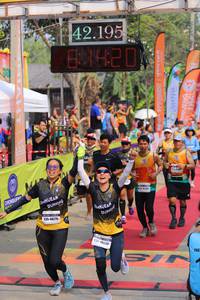 BIB: 42195, 420, 4825, 438
                            <button type="button" onclick="openModal(9416566)" class="btn btn-primary btn-sm float-right btn-popup" data-toggle="modal" data-target=".modal-high-quality">
                        <i class="fas fa-shopping-cart"></i> Add to Cart
                    </button>
                                            <button type="button" onclick="isThisMe(9416566, true)" class="btn btn-success btn-sm float-right btn-popup btn-isme hidden" data-toggle="tooltip" data-placement="bottom" title="นี่คือรูปของคุณใช่ไหม คลิกที่นี่เพื่อเอาเข้าอัลบั้ม">
                        <i class="fas fa-plus"></i> Add to album
                    </button>
                    <button type="button" onclick="isThisMe(9416566, false)" class="btn btn-warning btn-sm float-right btn-popup btn-isnotme hidden">
                        <i class="fas fa-ban"></i> Remove from album
                    </button>