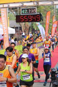 BIB: 42195, 55949, 345389, 42415, 43042
                            <button type="button" onclick="openModal(9156256)" class="btn btn-primary btn-sm float-right btn-popup" data-toggle="modal" data-target=".modal-high-quality">
                        <i class="fas fa-shopping-cart"></i> Add to Cart
                    </button>
                                            <button type="button" onclick="isThisMe(9156256, true)" class="btn btn-success btn-sm float-right btn-popup btn-isme hidden" data-toggle="tooltip" data-placement="bottom" title="นี่คือรูปของคุณใช่ไหม คลิกที่นี่เพื่อเอาเข้าอัลบั้ม">
                        <i class="fas fa-plus"></i> Add to album
                    </button>
                    <button type="button" onclick="isThisMe(9156256, false)" class="btn btn-warning btn-sm float-right btn-popup btn-isnotme hidden">
                        <i class="fas fa-ban"></i> Remove from album
                    </button>
