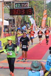 BIB: 42195, 603, 7615
                            <button type="button" onclick="openModal(9325535)" class="btn btn-primary btn-sm float-right btn-popup" data-toggle="modal" data-target=".modal-high-quality">
                        <i class="fas fa-shopping-cart"></i> Add to Cart
                    </button>
                                            <button type="button" onclick="isThisMe(9325535, true)" class="btn btn-success btn-sm float-right btn-popup btn-isme hidden" data-toggle="tooltip" data-placement="bottom" title="นี่คือรูปของคุณใช่ไหม คลิกที่นี่เพื่อเอาเข้าอัลบั้ม">
                        <i class="fas fa-plus"></i> Add to album
                    </button>
                    <button type="button" onclick="isThisMe(9325535, false)" class="btn btn-warning btn-sm float-right btn-popup btn-isnotme hidden">
                        <i class="fas fa-ban"></i> Remove from album
                    </button>