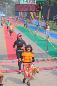 BIB: 42195, 65792
                            <button type="button" onclick="openModal(9513820)" class="btn btn-primary btn-sm float-right btn-popup" data-toggle="modal" data-target=".modal-high-quality">
                        <i class="fas fa-shopping-cart"></i> Add to Cart
                    </button>
                                            <button type="button" onclick="isThisMe(9513820, true)" class="btn btn-success btn-sm float-right btn-popup btn-isme hidden" data-toggle="tooltip" data-placement="bottom" title="นี่คือรูปของคุณใช่ไหม คลิกที่นี่เพื่อเอาเข้าอัลบั้ม">
                        <i class="fas fa-plus"></i> Add to album
                    </button>
                    <button type="button" onclick="isThisMe(9513820, false)" class="btn btn-warning btn-sm float-right btn-popup btn-isnotme hidden">
                        <i class="fas fa-ban"></i> Remove from album
                    </button>