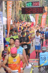 BIB: 42195, 52836
                            <button type="button" onclick="openModal(9137110)" class="btn btn-primary btn-sm float-right btn-popup" data-toggle="modal" data-target=".modal-high-quality">
                        <i class="fas fa-shopping-cart"></i> Add to Cart
                    </button>
                                            <button type="button" onclick="isThisMe(9137110, true)" class="btn btn-success btn-sm float-right btn-popup btn-isme hidden" data-toggle="tooltip" data-placement="bottom" title="นี่คือรูปของคุณใช่ไหม คลิกที่นี่เพื่อเอาเข้าอัลบั้ม">
                        <i class="fas fa-plus"></i> Add to album
                    </button>
                    <button type="button" onclick="isThisMe(9137110, false)" class="btn btn-warning btn-sm float-right btn-popup btn-isnotme hidden">
                        <i class="fas fa-ban"></i> Remove from album
                    </button>