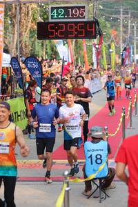BIB: 42195, 52954, 530, 46272
                            <button type="button" onclick="openModal(9138977)" class="btn btn-primary btn-sm float-right btn-popup" data-toggle="modal" data-target=".modal-high-quality">
                        <i class="fas fa-shopping-cart"></i> Add to Cart
                    </button>
                                            <button type="button" onclick="isThisMe(9138977, true)" class="btn btn-success btn-sm float-right btn-popup btn-isme hidden" data-toggle="tooltip" data-placement="bottom" title="นี่คือรูปของคุณใช่ไหม คลิกที่นี่เพื่อเอาเข้าอัลบั้ม">
                        <i class="fas fa-plus"></i> Add to album
                    </button>
                    <button type="button" onclick="isThisMe(9138977, false)" class="btn btn-warning btn-sm float-right btn-popup btn-isnotme hidden">
                        <i class="fas fa-ban"></i> Remove from album
                    </button>