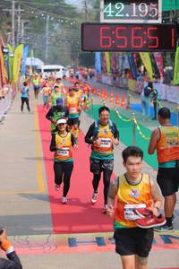 BIB: 42195, 6565
                            <button type="button" onclick="openModal(9513594)" class="btn btn-primary btn-sm float-right btn-popup" data-toggle="modal" data-target=".modal-high-quality">
                        <i class="fas fa-shopping-cart"></i> Add to Cart
                    </button>
                                            <button type="button" onclick="isThisMe(9513594, true)" class="btn btn-success btn-sm float-right btn-popup btn-isme hidden" data-toggle="tooltip" data-placement="bottom" title="นี่คือรูปของคุณใช่ไหม คลิกที่นี่เพื่อเอาเข้าอัลบั้ม">
                        <i class="fas fa-plus"></i> Add to album
                    </button>
                    <button type="button" onclick="isThisMe(9513594, false)" class="btn btn-warning btn-sm float-right btn-popup btn-isnotme hidden">
                        <i class="fas fa-ban"></i> Remove from album
                    </button>