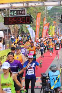 BIB: 42195, 55950, 45389, 12415
                            <button type="button" onclick="openModal(9156291)" class="btn btn-primary btn-sm float-right btn-popup" data-toggle="modal" data-target=".modal-high-quality">
                        <i class="fas fa-shopping-cart"></i> Add to Cart
                    </button>
                                            <button type="button" onclick="isThisMe(9156291, true)" class="btn btn-success btn-sm float-right btn-popup btn-isme hidden" data-toggle="tooltip" data-placement="bottom" title="นี่คือรูปของคุณใช่ไหม คลิกที่นี่เพื่อเอาเข้าอัลบั้ม">
                        <i class="fas fa-plus"></i> Add to album
                    </button>
                    <button type="button" onclick="isThisMe(9156291, false)" class="btn btn-warning btn-sm float-right btn-popup btn-isnotme hidden">
                        <i class="fas fa-ban"></i> Remove from album
                    </button>