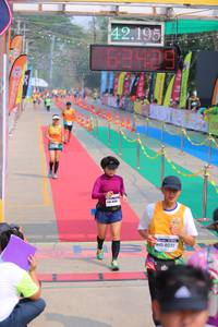 BIB: 42195, 41222
                            <button type="button" onclick="openModal(9468915)" class="btn btn-primary btn-sm float-right btn-popup" data-toggle="modal" data-target=".modal-high-quality">
                        <i class="fas fa-shopping-cart"></i> Add to Cart
                    </button>
                                            <button type="button" onclick="isThisMe(9468915, true)" class="btn btn-success btn-sm float-right btn-popup btn-isme hidden" data-toggle="tooltip" data-placement="bottom" title="นี่คือรูปของคุณใช่ไหม คลิกที่นี่เพื่อเอาเข้าอัลบั้ม">
                        <i class="fas fa-plus"></i> Add to album
                    </button>
                    <button type="button" onclick="isThisMe(9468915, false)" class="btn btn-warning btn-sm float-right btn-popup btn-isnotme hidden">
                        <i class="fas fa-ban"></i> Remove from album
                    </button>