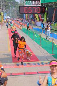 BIB: 42195, 6579
                            <button type="button" onclick="openModal(9513797)" class="btn btn-primary btn-sm float-right btn-popup" data-toggle="modal" data-target=".modal-high-quality">
                        <i class="fas fa-shopping-cart"></i> Add to Cart
                    </button>
                                            <button type="button" onclick="isThisMe(9513797, true)" class="btn btn-success btn-sm float-right btn-popup btn-isme hidden" data-toggle="tooltip" data-placement="bottom" title="นี่คือรูปของคุณใช่ไหม คลิกที่นี่เพื่อเอาเข้าอัลบั้ม">
                        <i class="fas fa-plus"></i> Add to album
                    </button>
                    <button type="button" onclick="isThisMe(9513797, false)" class="btn btn-warning btn-sm float-right btn-popup btn-isnotme hidden">
                        <i class="fas fa-ban"></i> Remove from album
                    </button>