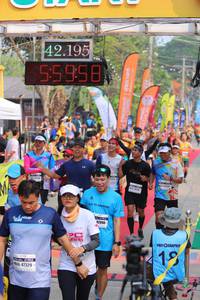 BIB: 42195, 5958, 12090, 109, 47329
                            <button type="button" onclick="openModal(9156471)" class="btn btn-primary btn-sm float-right btn-popup" data-toggle="modal" data-target=".modal-high-quality">
                        <i class="fas fa-shopping-cart"></i> Add to Cart
                    </button>
                                            <button type="button" onclick="isThisMe(9156471, true)" class="btn btn-success btn-sm float-right btn-popup btn-isme hidden" data-toggle="tooltip" data-placement="bottom" title="นี่คือรูปของคุณใช่ไหม คลิกที่นี่เพื่อเอาเข้าอัลบั้ม">
                        <i class="fas fa-plus"></i> Add to album
                    </button>
                    <button type="button" onclick="isThisMe(9156471, false)" class="btn btn-warning btn-sm float-right btn-popup btn-isnotme hidden">
                        <i class="fas fa-ban"></i> Remove from album
                    </button>
