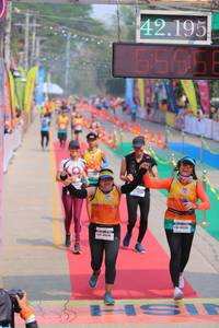 BIB: 42195, 6565
                            <button type="button" onclick="openModal(9513385)" class="btn btn-primary btn-sm float-right btn-popup" data-toggle="modal" data-target=".modal-high-quality">
                        <i class="fas fa-shopping-cart"></i> Add to Cart
                    </button>
                                            <button type="button" onclick="isThisMe(9513385, true)" class="btn btn-success btn-sm float-right btn-popup btn-isme hidden" data-toggle="tooltip" data-placement="bottom" title="นี่คือรูปของคุณใช่ไหม คลิกที่นี่เพื่อเอาเข้าอัลบั้ม">
                        <i class="fas fa-plus"></i> Add to album
                    </button>
                    <button type="button" onclick="isThisMe(9513385, false)" class="btn btn-warning btn-sm float-right btn-popup btn-isnotme hidden">
                        <i class="fas fa-ban"></i> Remove from album
                    </button>