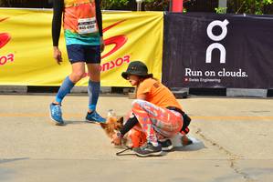 BIB: 47085
                            <button type="button" onclick="openModal(8822294)" class="btn btn-primary btn-sm float-right btn-popup" data-toggle="modal" data-target=".modal-high-quality">
                        <i class="fas fa-shopping-cart"></i> Add to Cart
                    </button>
                                            <button type="button" onclick="isThisMe(8822294, true)" class="btn btn-success btn-sm float-right btn-popup btn-isme hidden" data-toggle="tooltip" data-placement="bottom" title="นี่คือรูปของคุณใช่ไหม คลิกที่นี่เพื่อเอาเข้าอัลบั้ม">
                        <i class="fas fa-plus"></i> Add to album
                    </button>
                    <button type="button" onclick="isThisMe(8822294, false)" class="btn btn-warning btn-sm float-right btn-popup btn-isnotme hidden">
                        <i class="fas fa-ban"></i> Remove from album
                    </button>