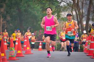 BIB: 28148, 262
                            <button type="button" onclick="openModal(9810816)" class="btn btn-primary btn-sm float-right btn-popup" data-toggle="modal" data-target=".modal-high-quality">
                        <i class="fas fa-shopping-cart"></i> Add to Cart
                    </button>
                                            <button type="button" onclick="isThisMe(9810816, true)" class="btn btn-success btn-sm float-right btn-popup btn-isme hidden" data-toggle="tooltip" data-placement="bottom" title="นี่คือรูปของคุณใช่ไหม คลิกที่นี่เพื่อเอาเข้าอัลบั้ม">
                        <i class="fas fa-plus"></i> Add to album
                    </button>
                    <button type="button" onclick="isThisMe(9810816, false)" class="btn btn-warning btn-sm float-right btn-popup btn-isnotme hidden">
                        <i class="fas fa-ban"></i> Remove from album
                    </button>
