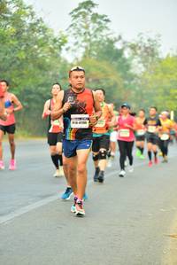 BIB: 41199
                            <button type="button" onclick="openModal(10254381)" class="btn btn-primary btn-sm float-right btn-popup" data-toggle="modal" data-target=".modal-high-quality">
                        <i class="fas fa-shopping-cart"></i> Add to Cart
                    </button>
                                            <button type="button" onclick="isThisMe(10254381, true)" class="btn btn-success btn-sm float-right btn-popup btn-isme hidden" data-toggle="tooltip" data-placement="bottom" title="นี่คือรูปของคุณใช่ไหม คลิกที่นี่เพื่อเอาเข้าอัลบั้ม">
                        <i class="fas fa-plus"></i> Add to album
                    </button>
                    <button type="button" onclick="isThisMe(10254381, false)" class="btn btn-warning btn-sm float-right btn-popup btn-isnotme hidden">
                        <i class="fas fa-ban"></i> Remove from album
                    </button>
