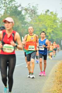 BIB: 40554, 2788
                            <button type="button" onclick="openModal(10251104)" class="btn btn-primary btn-sm float-right btn-popup" data-toggle="modal" data-target=".modal-high-quality">
                        <i class="fas fa-shopping-cart"></i> Add to Cart
                    </button>
                                            <button type="button" onclick="isThisMe(10251104, true)" class="btn btn-success btn-sm float-right btn-popup btn-isme hidden" data-toggle="tooltip" data-placement="bottom" title="นี่คือรูปของคุณใช่ไหม คลิกที่นี่เพื่อเอาเข้าอัลบั้ม">
                        <i class="fas fa-plus"></i> Add to album
                    </button>
                    <button type="button" onclick="isThisMe(10251104, false)" class="btn btn-warning btn-sm float-right btn-popup btn-isnotme hidden">
                        <i class="fas fa-ban"></i> Remove from album
                    </button>