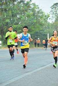 BIB: 0052, 21103
                            <button type="button" onclick="openModal(10030714)" class="btn btn-primary btn-sm float-right btn-popup" data-toggle="modal" data-target=".modal-high-quality">
                        <i class="fas fa-shopping-cart"></i> Add to Cart
                    </button>
                                            <button type="button" onclick="isThisMe(10030714, true)" class="btn btn-success btn-sm float-right btn-popup btn-isme hidden" data-toggle="tooltip" data-placement="bottom" title="นี่คือรูปของคุณใช่ไหม คลิกที่นี่เพื่อเอาเข้าอัลบั้ม">
                        <i class="fas fa-plus"></i> Add to album
                    </button>
                    <button type="button" onclick="isThisMe(10030714, false)" class="btn btn-warning btn-sm float-right btn-popup btn-isnotme hidden">
                        <i class="fas fa-ban"></i> Remove from album
                    </button>