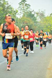 BIB: 26514
                            <button type="button" onclick="openModal(10254388)" class="btn btn-primary btn-sm float-right btn-popup" data-toggle="modal" data-target=".modal-high-quality">
                        <i class="fas fa-shopping-cart"></i> Add to Cart
                    </button>
                                            <button type="button" onclick="isThisMe(10254388, true)" class="btn btn-success btn-sm float-right btn-popup btn-isme hidden" data-toggle="tooltip" data-placement="bottom" title="นี่คือรูปของคุณใช่ไหม คลิกที่นี่เพื่อเอาเข้าอัลบั้ม">
                        <i class="fas fa-plus"></i> Add to album
                    </button>
                    <button type="button" onclick="isThisMe(10254388, false)" class="btn btn-warning btn-sm float-right btn-popup btn-isnotme hidden">
                        <i class="fas fa-ban"></i> Remove from album
                    </button>