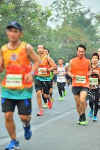 BIB: 21492
                            <button type="button" onclick="openModal(10053168)" class="btn btn-primary btn-sm float-right btn-popup" data-toggle="modal" data-target=".modal-high-quality">
                        <i class="fas fa-shopping-cart"></i> Add to Cart
                    </button>
                                            <button type="button" onclick="isThisMe(10053168, true)" class="btn btn-success btn-sm float-right btn-popup btn-isme hidden" data-toggle="tooltip" data-placement="bottom" title="นี่คือรูปของคุณใช่ไหม คลิกที่นี่เพื่อเอาเข้าอัลบั้ม">
                        <i class="fas fa-plus"></i> Add to album
                    </button>
                    <button type="button" onclick="isThisMe(10053168, false)" class="btn btn-warning btn-sm float-right btn-popup btn-isnotme hidden">
                        <i class="fas fa-ban"></i> Remove from album
                    </button>