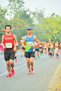 BIB: 27261, 25803
                            <button type="button" onclick="openModal(10252197)" class="btn btn-primary btn-sm float-right btn-popup" data-toggle="modal" data-target=".modal-high-quality">
                        <i class="fas fa-shopping-cart"></i> Add to Cart
                    </button>
                                            <button type="button" onclick="isThisMe(10252197, true)" class="btn btn-success btn-sm float-right btn-popup btn-isme hidden" data-toggle="tooltip" data-placement="bottom" title="นี่คือรูปของคุณใช่ไหม คลิกที่นี่เพื่อเอาเข้าอัลบั้ม">
                        <i class="fas fa-plus"></i> Add to album
                    </button>
                    <button type="button" onclick="isThisMe(10252197, false)" class="btn btn-warning btn-sm float-right btn-popup btn-isnotme hidden">
                        <i class="fas fa-ban"></i> Remove from album
                    </button>