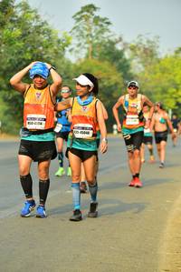 BIB: 41114, 45048
                            <button type="button" onclick="openModal(10009333)" class="btn btn-primary btn-sm float-right btn-popup" data-toggle="modal" data-target=".modal-high-quality">
                        <i class="fas fa-shopping-cart"></i> Add to Cart
                    </button>
                                            <button type="button" onclick="isThisMe(10009333, true)" class="btn btn-success btn-sm float-right btn-popup btn-isme hidden" data-toggle="tooltip" data-placement="bottom" title="นี่คือรูปของคุณใช่ไหม คลิกที่นี่เพื่อเอาเข้าอัลบั้ม">
                        <i class="fas fa-plus"></i> Add to album
                    </button>
                    <button type="button" onclick="isThisMe(10009333, false)" class="btn btn-warning btn-sm float-right btn-popup btn-isnotme hidden">
                        <i class="fas fa-ban"></i> Remove from album
                    </button>