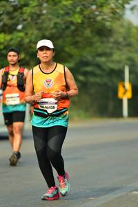 BIB: 48456
                            <button type="button" onclick="openModal(10016434)" class="btn btn-primary btn-sm float-right btn-popup" data-toggle="modal" data-target=".modal-high-quality">
                        <i class="fas fa-shopping-cart"></i> Add to Cart
                    </button>
                                            <button type="button" onclick="isThisMe(10016434, true)" class="btn btn-success btn-sm float-right btn-popup btn-isme hidden" data-toggle="tooltip" data-placement="bottom" title="นี่คือรูปของคุณใช่ไหม คลิกที่นี่เพื่อเอาเข้าอัลบั้ม">
                        <i class="fas fa-plus"></i> Add to album
                    </button>
                    <button type="button" onclick="isThisMe(10016434, false)" class="btn btn-warning btn-sm float-right btn-popup btn-isnotme hidden">
                        <i class="fas fa-ban"></i> Remove from album
                    </button>