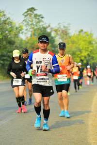BIB: 46626
                            <button type="button" onclick="openModal(10251585)" class="btn btn-primary btn-sm float-right btn-popup" data-toggle="modal" data-target=".modal-high-quality">
                        <i class="fas fa-shopping-cart"></i> Add to Cart
                    </button>
                                            <button type="button" onclick="isThisMe(10251585, true)" class="btn btn-success btn-sm float-right btn-popup btn-isme hidden" data-toggle="tooltip" data-placement="bottom" title="นี่คือรูปของคุณใช่ไหม คลิกที่นี่เพื่อเอาเข้าอัลบั้ม">
                        <i class="fas fa-plus"></i> Add to album
                    </button>
                    <button type="button" onclick="isThisMe(10251585, false)" class="btn btn-warning btn-sm float-right btn-popup btn-isnotme hidden">
                        <i class="fas fa-ban"></i> Remove from album
                    </button>