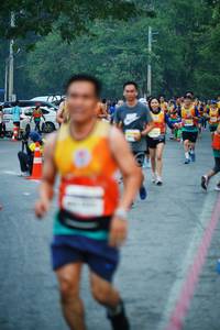 BIB: 
                            <button type="button" onclick="openModal(7590556)" class="btn btn-primary btn-sm float-right btn-popup" data-toggle="modal" data-target=".modal-high-quality">
                        <i class="fas fa-shopping-cart"></i> Add to Cart
                    </button>
                                            <button type="button" onclick="isThisMe(7590556, true)" class="btn btn-success btn-sm float-right btn-popup btn-isme hidden" data-toggle="tooltip" data-placement="bottom" title="นี่คือรูปของคุณใช่ไหม คลิกที่นี่เพื่อเอาเข้าอัลบั้ม">
                        <i class="fas fa-plus"></i> Add to album
                    </button>
                    <button type="button" onclick="isThisMe(7590556, false)" class="btn btn-warning btn-sm float-right btn-popup btn-isnotme hidden">
                        <i class="fas fa-ban"></i> Remove from album
                    </button>