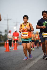 BIB: 16102, 16338
                            <button type="button" onclick="openModal(8635371)" class="btn btn-primary btn-sm float-right btn-popup" data-toggle="modal" data-target=".modal-high-quality">
                        <i class="fas fa-shopping-cart"></i> Add to Cart
                    </button>
                                            <button type="button" onclick="isThisMe(8635371, true)" class="btn btn-success btn-sm float-right btn-popup btn-isme hidden" data-toggle="tooltip" data-placement="bottom" title="นี่คือรูปของคุณใช่ไหม คลิกที่นี่เพื่อเอาเข้าอัลบั้ม">
                        <i class="fas fa-plus"></i> Add to album
                    </button>
                    <button type="button" onclick="isThisMe(8635371, false)" class="btn btn-warning btn-sm float-right btn-popup btn-isnotme hidden">
                        <i class="fas fa-ban"></i> Remove from album
                    </button>
