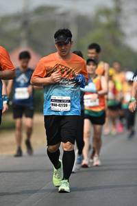 BIB: 42739
                            <button type="button" onclick="openModal(8513823)" class="btn btn-primary btn-sm float-right btn-popup" data-toggle="modal" data-target=".modal-high-quality">
                        <i class="fas fa-shopping-cart"></i> Add to Cart
                    </button>
                                            <button type="button" onclick="isThisMe(8513823, true)" class="btn btn-success btn-sm float-right btn-popup btn-isme hidden" data-toggle="tooltip" data-placement="bottom" title="นี่คือรูปของคุณใช่ไหม คลิกที่นี่เพื่อเอาเข้าอัลบั้ม">
                        <i class="fas fa-plus"></i> Add to album
                    </button>
                    <button type="button" onclick="isThisMe(8513823, false)" class="btn btn-warning btn-sm float-right btn-popup btn-isnotme hidden">
                        <i class="fas fa-ban"></i> Remove from album
                    </button>