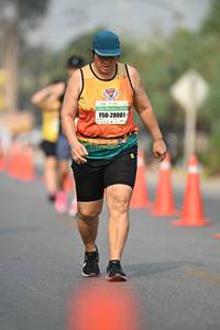 BIB: 28081
                            <button type="button" onclick="openModal(8383179)" class="btn btn-primary btn-sm float-right btn-popup" data-toggle="modal" data-target=".modal-high-quality">
                        <i class="fas fa-shopping-cart"></i> Add to Cart
                    </button>
                                            <button type="button" onclick="isThisMe(8383179, true)" class="btn btn-success btn-sm float-right btn-popup btn-isme hidden" data-toggle="tooltip" data-placement="bottom" title="นี่คือรูปของคุณใช่ไหม คลิกที่นี่เพื่อเอาเข้าอัลบั้ม">
                        <i class="fas fa-plus"></i> Add to album
                    </button>
                    <button type="button" onclick="isThisMe(8383179, false)" class="btn btn-warning btn-sm float-right btn-popup btn-isnotme hidden">
                        <i class="fas fa-ban"></i> Remove from album
                    </button>
