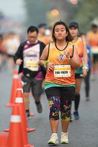 BIB: 104, 11628
                            <button type="button" onclick="openModal(8025006)" class="btn btn-primary btn-sm float-right btn-popup" data-toggle="modal" data-target=".modal-high-quality">
                        <i class="fas fa-shopping-cart"></i> Add to Cart
                    </button>
                                            <button type="button" onclick="isThisMe(8025006, true)" class="btn btn-success btn-sm float-right btn-popup btn-isme hidden" data-toggle="tooltip" data-placement="bottom" title="นี่คือรูปของคุณใช่ไหม คลิกที่นี่เพื่อเอาเข้าอัลบั้ม">
                        <i class="fas fa-plus"></i> Add to album
                    </button>
                    <button type="button" onclick="isThisMe(8025006, false)" class="btn btn-warning btn-sm float-right btn-popup btn-isnotme hidden">
                        <i class="fas fa-ban"></i> Remove from album
                    </button>