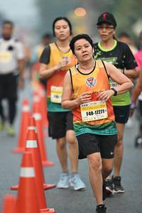 BIB: 102, 17271
                            <button type="button" onclick="openModal(8019236)" class="btn btn-primary btn-sm float-right btn-popup" data-toggle="modal" data-target=".modal-high-quality">
                        <i class="fas fa-shopping-cart"></i> Add to Cart
                    </button>
                                            <button type="button" onclick="isThisMe(8019236, true)" class="btn btn-success btn-sm float-right btn-popup btn-isme hidden" data-toggle="tooltip" data-placement="bottom" title="นี่คือรูปของคุณใช่ไหม คลิกที่นี่เพื่อเอาเข้าอัลบั้ม">
                        <i class="fas fa-plus"></i> Add to album
                    </button>
                    <button type="button" onclick="isThisMe(8019236, false)" class="btn btn-warning btn-sm float-right btn-popup btn-isnotme hidden">
                        <i class="fas fa-ban"></i> Remove from album
                    </button>