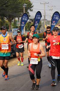 BIB: 530, 7295, 204554
                            <button type="button" onclick="openModal(7560631)" class="btn btn-primary btn-sm float-right btn-popup" data-toggle="modal" data-target=".modal-high-quality">
                        <i class="fas fa-shopping-cart"></i> Add to Cart
                    </button>
                                            <button type="button" onclick="isThisMe(7560631, true)" class="btn btn-success btn-sm float-right btn-popup btn-isme hidden" data-toggle="tooltip" data-placement="bottom" title="นี่คือรูปของคุณใช่ไหม คลิกที่นี่เพื่อเอาเข้าอัลบั้ม">
                        <i class="fas fa-plus"></i> Add to album
                    </button>
                    <button type="button" onclick="isThisMe(7560631, false)" class="btn btn-warning btn-sm float-right btn-popup btn-isnotme hidden">
                        <i class="fas fa-ban"></i> Remove from album
                    </button>