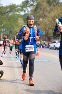 BIB: 46009
                            <button type="button" onclick="openModal(7708901)" class="btn btn-primary btn-sm float-right btn-popup" data-toggle="modal" data-target=".modal-high-quality">
                        <i class="fas fa-shopping-cart"></i> Add to Cart
                    </button>
                                            <button type="button" onclick="isThisMe(7708901, true)" class="btn btn-success btn-sm float-right btn-popup btn-isme hidden" data-toggle="tooltip" data-placement="bottom" title="นี่คือรูปของคุณใช่ไหม คลิกที่นี่เพื่อเอาเข้าอัลบั้ม">
                        <i class="fas fa-plus"></i> Add to album
                    </button>
                    <button type="button" onclick="isThisMe(7708901, false)" class="btn btn-warning btn-sm float-right btn-popup btn-isnotme hidden">
                        <i class="fas fa-ban"></i> Remove from album
                    </button>