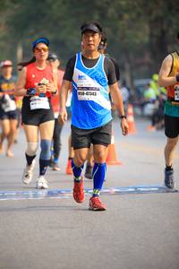 BIB: 47343
                            <button type="button" onclick="openModal(9525255)" class="btn btn-primary btn-sm float-right btn-popup" data-toggle="modal" data-target=".modal-high-quality">
                        <i class="fas fa-shopping-cart"></i> Add to Cart
                    </button>
                                            <button type="button" onclick="isThisMe(9525255, true)" class="btn btn-success btn-sm float-right btn-popup btn-isme hidden" data-toggle="tooltip" data-placement="bottom" title="นี่คือรูปของคุณใช่ไหม คลิกที่นี่เพื่อเอาเข้าอัลบั้ม">
                        <i class="fas fa-plus"></i> Add to album
                    </button>
                    <button type="button" onclick="isThisMe(9525255, false)" class="btn btn-warning btn-sm float-right btn-popup btn-isnotme hidden">
                        <i class="fas fa-ban"></i> Remove from album
                    </button>
