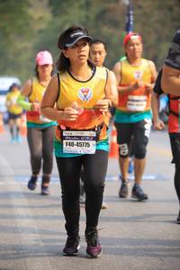 BIB: 45775
                            <button type="button" onclick="openModal(9528056)" class="btn btn-primary btn-sm float-right btn-popup" data-toggle="modal" data-target=".modal-high-quality">
                        <i class="fas fa-shopping-cart"></i> Add to Cart
                    </button>
                                            <button type="button" onclick="isThisMe(9528056, true)" class="btn btn-success btn-sm float-right btn-popup btn-isme hidden" data-toggle="tooltip" data-placement="bottom" title="นี่คือรูปของคุณใช่ไหม คลิกที่นี่เพื่อเอาเข้าอัลบั้ม">
                        <i class="fas fa-plus"></i> Add to album
                    </button>
                    <button type="button" onclick="isThisMe(9528056, false)" class="btn btn-warning btn-sm float-right btn-popup btn-isnotme hidden">
                        <i class="fas fa-ban"></i> Remove from album
                    </button>