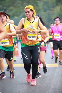 BIB: 16923, 16993
                            <button type="button" onclick="openModal(8049227)" class="btn btn-primary btn-sm float-right btn-popup" data-toggle="modal" data-target=".modal-high-quality">
                        <i class="fas fa-shopping-cart"></i> Add to Cart
                    </button>
                                            <button type="button" onclick="isThisMe(8049227, true)" class="btn btn-success btn-sm float-right btn-popup btn-isme hidden" data-toggle="tooltip" data-placement="bottom" title="นี่คือรูปของคุณใช่ไหม คลิกที่นี่เพื่อเอาเข้าอัลบั้ม">
                        <i class="fas fa-plus"></i> Add to album
                    </button>
                    <button type="button" onclick="isThisMe(8049227, false)" class="btn btn-warning btn-sm float-right btn-popup btn-isnotme hidden">
                        <i class="fas fa-ban"></i> Remove from album
                    </button>