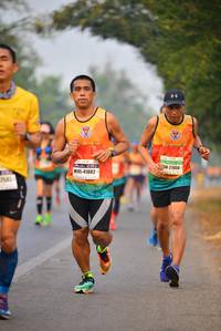 BIB: 21456, 41882
                            <button type="button" onclick="openModal(8325063)" class="btn btn-primary btn-sm float-right btn-popup" data-toggle="modal" data-target=".modal-high-quality">
                        <i class="fas fa-shopping-cart"></i> Add to Cart
                    </button>
                                            <button type="button" onclick="isThisMe(8325063, true)" class="btn btn-success btn-sm float-right btn-popup btn-isme hidden" data-toggle="tooltip" data-placement="bottom" title="นี่คือรูปของคุณใช่ไหม คลิกที่นี่เพื่อเอาเข้าอัลบั้ม">
                        <i class="fas fa-plus"></i> Add to album
                    </button>
                    <button type="button" onclick="isThisMe(8325063, false)" class="btn btn-warning btn-sm float-right btn-popup btn-isnotme hidden">
                        <i class="fas fa-ban"></i> Remove from album
                    </button>