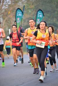 BIB: 200, 230, 025327
                            <button type="button" onclick="openModal(8156893)" class="btn btn-primary btn-sm float-right btn-popup" data-toggle="modal" data-target=".modal-high-quality">
                        <i class="fas fa-shopping-cart"></i> Add to Cart
                    </button>
                                            <button type="button" onclick="isThisMe(8156893, true)" class="btn btn-success btn-sm float-right btn-popup btn-isme hidden" data-toggle="tooltip" data-placement="bottom" title="นี่คือรูปของคุณใช่ไหม คลิกที่นี่เพื่อเอาเข้าอัลบั้ม">
                        <i class="fas fa-plus"></i> Add to album
                    </button>
                    <button type="button" onclick="isThisMe(8156893, false)" class="btn btn-warning btn-sm float-right btn-popup btn-isnotme hidden">
                        <i class="fas fa-ban"></i> Remove from album
                    </button>
