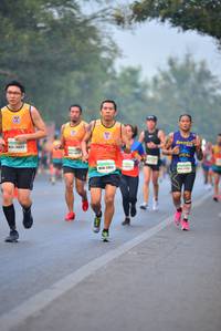 BIB: 26022
                            <button type="button" onclick="openModal(8127937)" class="btn btn-primary btn-sm float-right btn-popup" data-toggle="modal" data-target=".modal-high-quality">
                        <i class="fas fa-shopping-cart"></i> Add to Cart
                    </button>
                                            <button type="button" onclick="isThisMe(8127937, true)" class="btn btn-success btn-sm float-right btn-popup btn-isme hidden" data-toggle="tooltip" data-placement="bottom" title="นี่คือรูปของคุณใช่ไหม คลิกที่นี่เพื่อเอาเข้าอัลบั้ม">
                        <i class="fas fa-plus"></i> Add to album
                    </button>
                    <button type="button" onclick="isThisMe(8127937, false)" class="btn btn-warning btn-sm float-right btn-popup btn-isnotme hidden">
                        <i class="fas fa-ban"></i> Remove from album
                    </button>