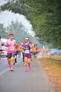 BIB: 422128
                            <button type="button" onclick="openModal(8156824)" class="btn btn-primary btn-sm float-right btn-popup" data-toggle="modal" data-target=".modal-high-quality">
                        <i class="fas fa-shopping-cart"></i> Add to Cart
                    </button>
                                            <button type="button" onclick="isThisMe(8156824, true)" class="btn btn-success btn-sm float-right btn-popup btn-isme hidden" data-toggle="tooltip" data-placement="bottom" title="นี่คือรูปของคุณใช่ไหม คลิกที่นี่เพื่อเอาเข้าอัลบั้ม">
                        <i class="fas fa-plus"></i> Add to album
                    </button>
                    <button type="button" onclick="isThisMe(8156824, false)" class="btn btn-warning btn-sm float-right btn-popup btn-isnotme hidden">
                        <i class="fas fa-ban"></i> Remove from album
                    </button>