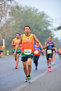 BIB: 27972
                            <button type="button" onclick="openModal(8182604)" class="btn btn-primary btn-sm float-right btn-popup" data-toggle="modal" data-target=".modal-high-quality">
                        <i class="fas fa-shopping-cart"></i> Add to Cart
                    </button>
                                            <button type="button" onclick="isThisMe(8182604, true)" class="btn btn-success btn-sm float-right btn-popup btn-isme hidden" data-toggle="tooltip" data-placement="bottom" title="นี่คือรูปของคุณใช่ไหม คลิกที่นี่เพื่อเอาเข้าอัลบั้ม">
                        <i class="fas fa-plus"></i> Add to album
                    </button>
                    <button type="button" onclick="isThisMe(8182604, false)" class="btn btn-warning btn-sm float-right btn-popup btn-isnotme hidden">
                        <i class="fas fa-ban"></i> Remove from album
                    </button>