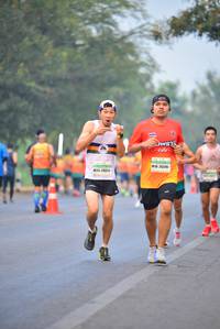 BIB: 26596, 2084
                            <button type="button" onclick="openModal(8153219)" class="btn btn-primary btn-sm float-right btn-popup" data-toggle="modal" data-target=".modal-high-quality">
                        <i class="fas fa-shopping-cart"></i> Add to Cart
                    </button>
                                            <button type="button" onclick="isThisMe(8153219, true)" class="btn btn-success btn-sm float-right btn-popup btn-isme hidden" data-toggle="tooltip" data-placement="bottom" title="นี่คือรูปของคุณใช่ไหม คลิกที่นี่เพื่อเอาเข้าอัลบั้ม">
                        <i class="fas fa-plus"></i> Add to album
                    </button>
                    <button type="button" onclick="isThisMe(8153219, false)" class="btn btn-warning btn-sm float-right btn-popup btn-isnotme hidden">
                        <i class="fas fa-ban"></i> Remove from album
                    </button>