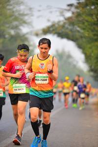 BIB: 25688, 20429
                            <button type="button" onclick="openModal(8231478)" class="btn btn-primary btn-sm float-right btn-popup" data-toggle="modal" data-target=".modal-high-quality">
                        <i class="fas fa-shopping-cart"></i> Add to Cart
                    </button>
                                            <button type="button" onclick="isThisMe(8231478, true)" class="btn btn-success btn-sm float-right btn-popup btn-isme hidden" data-toggle="tooltip" data-placement="bottom" title="นี่คือรูปของคุณใช่ไหม คลิกที่นี่เพื่อเอาเข้าอัลบั้ม">
                        <i class="fas fa-plus"></i> Add to album
                    </button>
                    <button type="button" onclick="isThisMe(8231478, false)" class="btn btn-warning btn-sm float-right btn-popup btn-isnotme hidden">
                        <i class="fas fa-ban"></i> Remove from album
                    </button>