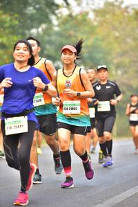 BIB: 22316, 21865, 75449
                            <button type="button" onclick="openModal(8558730)" class="btn btn-primary btn-sm float-right btn-popup" data-toggle="modal" data-target=".modal-high-quality">
                        <i class="fas fa-shopping-cart"></i> Add to Cart
                    </button>
                                            <button type="button" onclick="isThisMe(8558730, true)" class="btn btn-success btn-sm float-right btn-popup btn-isme hidden" data-toggle="tooltip" data-placement="bottom" title="นี่คือรูปของคุณใช่ไหม คลิกที่นี่เพื่อเอาเข้าอัลบั้ม">
                        <i class="fas fa-plus"></i> Add to album
                    </button>
                    <button type="button" onclick="isThisMe(8558730, false)" class="btn btn-warning btn-sm float-right btn-popup btn-isnotme hidden">
                        <i class="fas fa-ban"></i> Remove from album
                    </button>