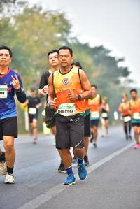 BIB: 198, 21883
                            <button type="button" onclick="openModal(8548595)" class="btn btn-primary btn-sm float-right btn-popup" data-toggle="modal" data-target=".modal-high-quality">
                        <i class="fas fa-shopping-cart"></i> Add to Cart
                    </button>
                                            <button type="button" onclick="isThisMe(8548595, true)" class="btn btn-success btn-sm float-right btn-popup btn-isme hidden" data-toggle="tooltip" data-placement="bottom" title="นี่คือรูปของคุณใช่ไหม คลิกที่นี่เพื่อเอาเข้าอัลบั้ม">
                        <i class="fas fa-plus"></i> Add to album
                    </button>
                    <button type="button" onclick="isThisMe(8548595, false)" class="btn btn-warning btn-sm float-right btn-popup btn-isnotme hidden">
                        <i class="fas fa-ban"></i> Remove from album
                    </button>