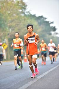 BIB: 41193
                            <button type="button" onclick="openModal(8526718)" class="btn btn-primary btn-sm float-right btn-popup" data-toggle="modal" data-target=".modal-high-quality">
                        <i class="fas fa-shopping-cart"></i> Add to Cart
                    </button>
                                            <button type="button" onclick="isThisMe(8526718, true)" class="btn btn-success btn-sm float-right btn-popup btn-isme hidden" data-toggle="tooltip" data-placement="bottom" title="นี่คือรูปของคุณใช่ไหม คลิกที่นี่เพื่อเอาเข้าอัลบั้ม">
                        <i class="fas fa-plus"></i> Add to album
                    </button>
                    <button type="button" onclick="isThisMe(8526718, false)" class="btn btn-warning btn-sm float-right btn-popup btn-isnotme hidden">
                        <i class="fas fa-ban"></i> Remove from album
                    </button>