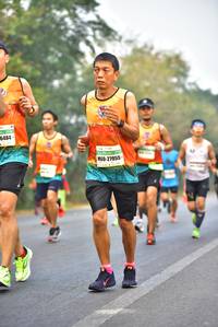 BIB: 6484, 27955
                            <button type="button" onclick="openModal(8547027)" class="btn btn-primary btn-sm float-right btn-popup" data-toggle="modal" data-target=".modal-high-quality">
                        <i class="fas fa-shopping-cart"></i> Add to Cart
                    </button>
                                            <button type="button" onclick="isThisMe(8547027, true)" class="btn btn-success btn-sm float-right btn-popup btn-isme hidden" data-toggle="tooltip" data-placement="bottom" title="นี่คือรูปของคุณใช่ไหม คลิกที่นี่เพื่อเอาเข้าอัลบั้ม">
                        <i class="fas fa-plus"></i> Add to album
                    </button>
                    <button type="button" onclick="isThisMe(8547027, false)" class="btn btn-warning btn-sm float-right btn-popup btn-isnotme hidden">
                        <i class="fas fa-ban"></i> Remove from album
                    </button>