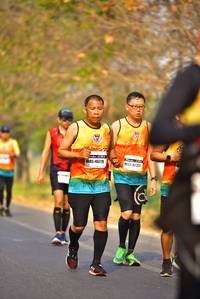 BIB: 46779, 42352
                            <button type="button" onclick="openModal(8868791)" class="btn btn-primary btn-sm float-right btn-popup" data-toggle="modal" data-target=".modal-high-quality">
                        <i class="fas fa-shopping-cart"></i> Add to Cart
                    </button>
                                            <button type="button" onclick="isThisMe(8868791, true)" class="btn btn-success btn-sm float-right btn-popup btn-isme hidden" data-toggle="tooltip" data-placement="bottom" title="นี่คือรูปของคุณใช่ไหม คลิกที่นี่เพื่อเอาเข้าอัลบั้ม">
                        <i class="fas fa-plus"></i> Add to album
                    </button>
                    <button type="button" onclick="isThisMe(8868791, false)" class="btn btn-warning btn-sm float-right btn-popup btn-isnotme hidden">
                        <i class="fas fa-ban"></i> Remove from album
                    </button>