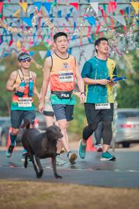 BIB: 42945, 423, 47398, 368
                            <button type="button" onclick="openModal(9637203)" class="btn btn-primary btn-sm float-right btn-popup" data-toggle="modal" data-target=".modal-high-quality">
                        <i class="fas fa-shopping-cart"></i> Add to Cart
                    </button>
                                            <button type="button" onclick="isThisMe(9637203, true)" class="btn btn-success btn-sm float-right btn-popup btn-isme hidden" data-toggle="tooltip" data-placement="bottom" title="นี่คือรูปของคุณใช่ไหม คลิกที่นี่เพื่อเอาเข้าอัลบั้ม">
                        <i class="fas fa-plus"></i> Add to album
                    </button>
                    <button type="button" onclick="isThisMe(9637203, false)" class="btn btn-warning btn-sm float-right btn-popup btn-isnotme hidden">
                        <i class="fas fa-ban"></i> Remove from album
                    </button>